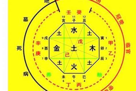 八字陰陽比例|生辰八字算命、五行喜用神查询（免费测算）